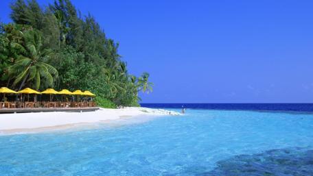 Tropical Paradise Escape to Serenity wallpaper