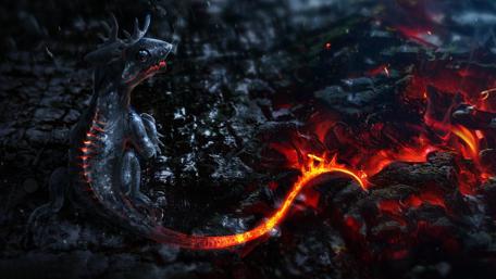 Baby fire dragon wallpaper