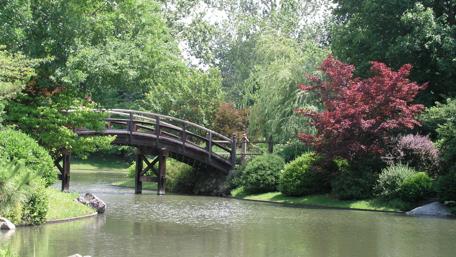 Serene Bridge Over Tranquil Waters wallpaper