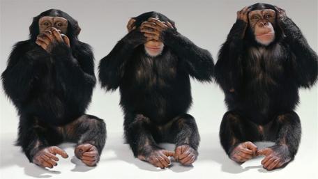 See No Evil Hear No Evil Speak No Evil Chimps wallpaper