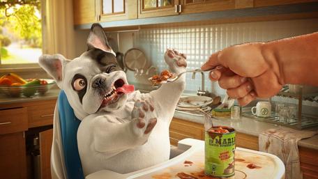 Hungry Pup's Morning Feast wallpaper