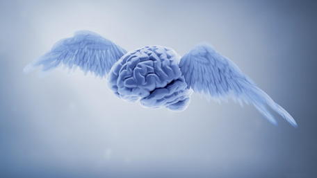 Floating Mind in Flight wallpaper