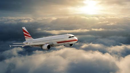 Soaring Through Sunlit Skies wallpaper
