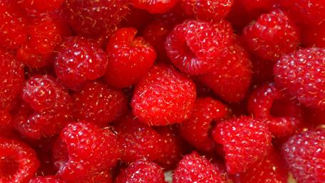 Raspberry Delight in 4K wallpaper