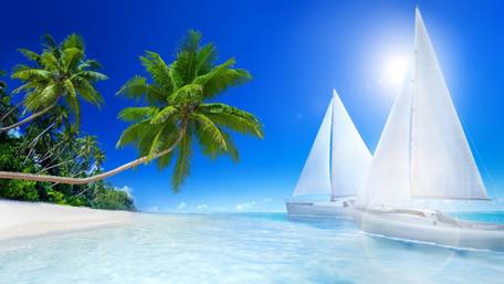 Tropical Paradise with Sailboats and Palm Trees wallpaper