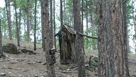 Rustic Outhouse in a Serene Forest Setting wallpaper