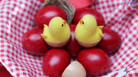 Charming Easter Celebration with Colorful Eggs and Chicks wallpaper