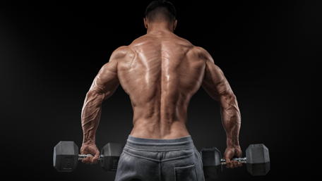 Muscular Athlete Lifting Weights wallpaper