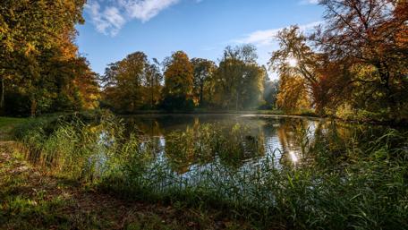 Serene Autumn Reflections in Nature wallpaper