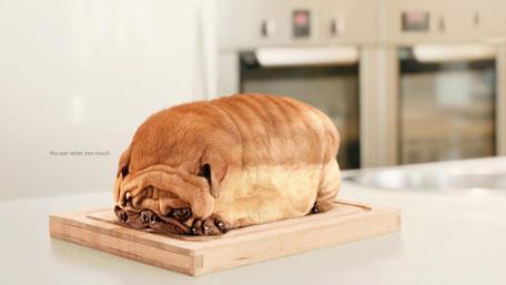 Dog Bread Delight in the Kitchen Wall Art wallpaper