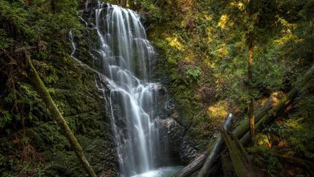 Tranquil Forest Waterfall Scene wallpaper