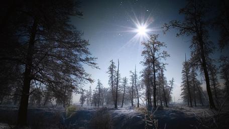 Winter Moonlight Over Frosted Forest wallpaper