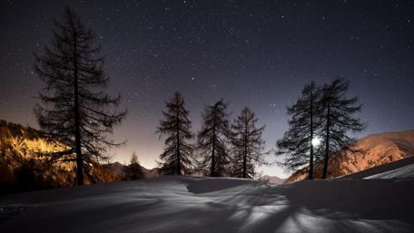 Frozen Nightscape with Stars and Trees wallpaper