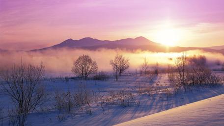 Snowy Dawn with Purple and Rose Hues wallpaper