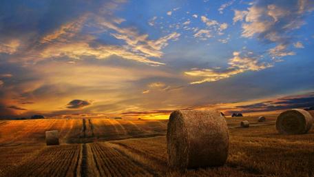 Golden Sunset Over Hayfields wallpaper