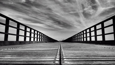 Enigmatic Pathway in Monochrome wallpaper