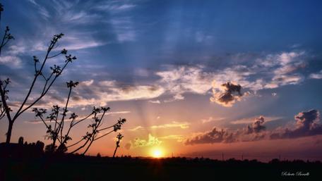 Golden Sunset over Tranquil Landscape Scene in 4K Quality wallpaper