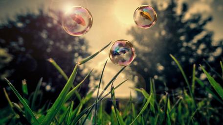 Whimsical Bubbles in a Flower Field wallpaper