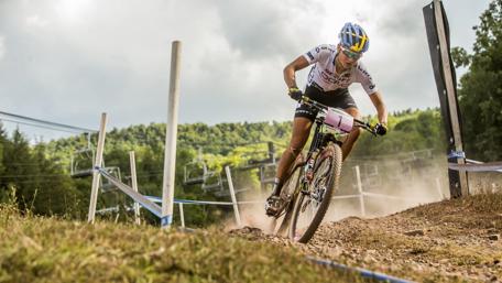 Racing Through the Trails: Bike Adventure Unleashed wallpaper