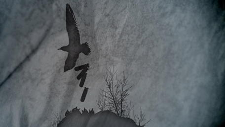 Mystical Flight of the Shadow Bird wallpaper