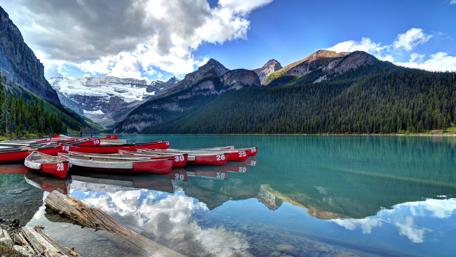 Tranquil Reflections in Nature's Embrace wallpaper
