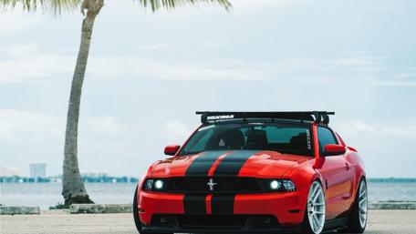Dynamic Red Mustang on Scenic Shoreline wallpaper