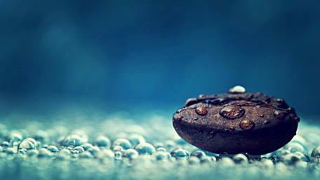 Coffee Bean with Water Droplets Artistry wallpaper