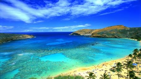 Summer Paradise Coastal Scene wallpaper
