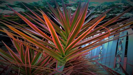 Vibrant Tropical Leaves for Your Screen wallpaper