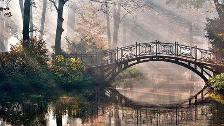 Serenity of a Misty Morning by the Bridge wallpaper