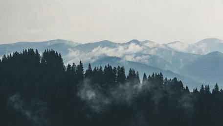 Serene Mountain Mist View wallpaper