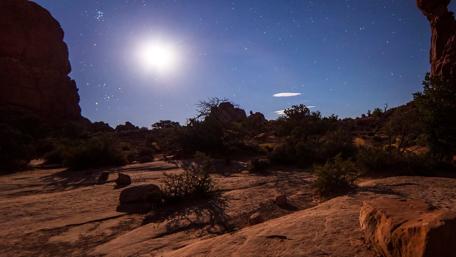Starlit Desert Nightscape wallpaper