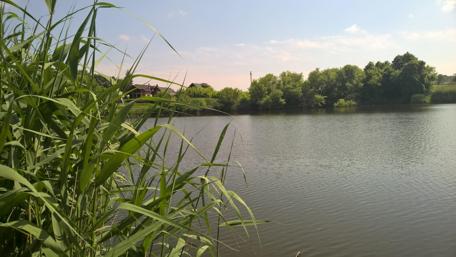 Serene Lake View in Kopachi wallpaper