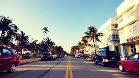 Vibrant Cityscape with Palm Trees and Sunshine wallpaper