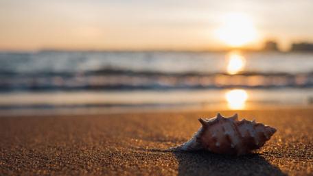 Serenity of the Beach at Sunset wallpaper