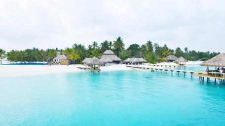 Tropical Paradise by the Crystal Blue Sea wallpaper