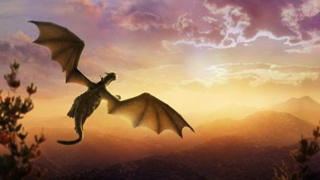 Majestic Dragon Flight at Dusk wallpaper