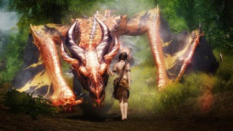 Dragon Encounter in Enchanted Forest wallpaper