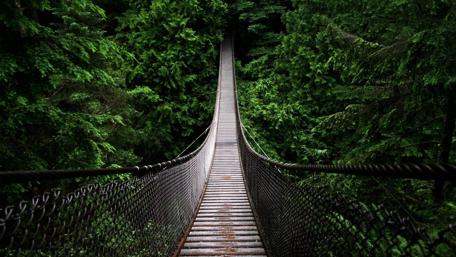 Lynn Canyon Suspension Bridge wallpaper