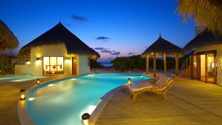 Tropical Poolside Paradise wallpaper