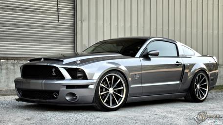 Muscle Power on Display wallpaper