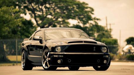 Sleek Black Shelby Mustang Wallpaper wallpaper