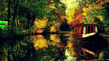 Serene Autumn Reflections on a Quiet River wallpaper