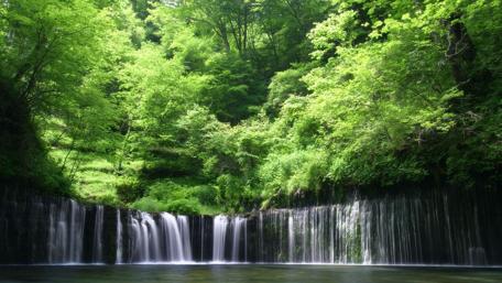 Serene Waterfall Amidst Lush Greenery wallpaper