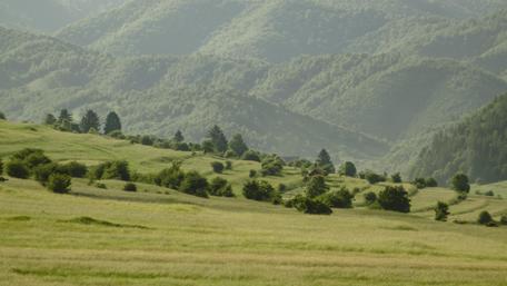 Breathtaking Romanian Hillside Landscape Wallpaper wallpaper