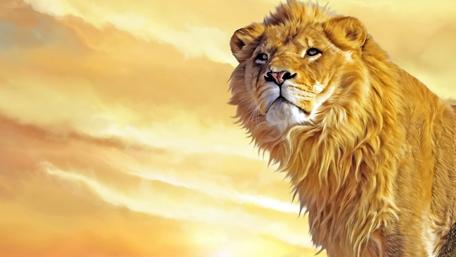 Majestic Lion Portrait in Golden Hues wallpaper