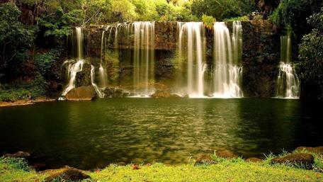 Serene Waterfall Amidst Lush Forest wallpaper