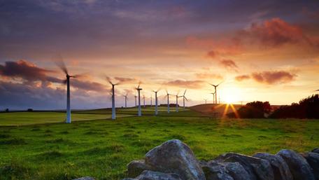 Tranquil Wind Farm at Sunset wallpaper