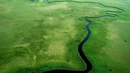 Serene River Winding Through Lush Greenery wallpaper