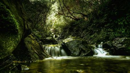 Serene Forest Waterfall Scene wallpaper